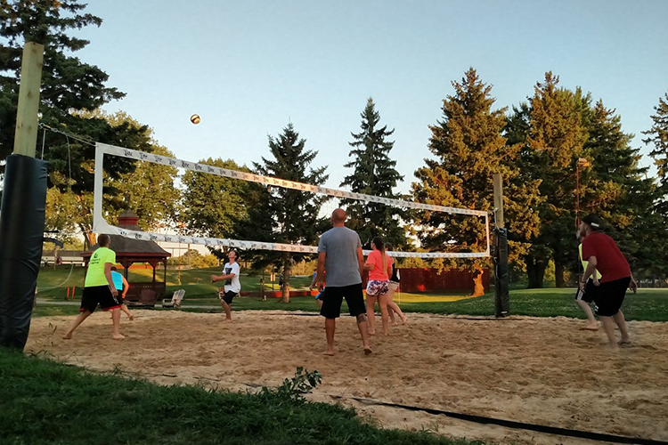 teammates playing volleyball